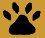Services: Pet Care: Dog Care
