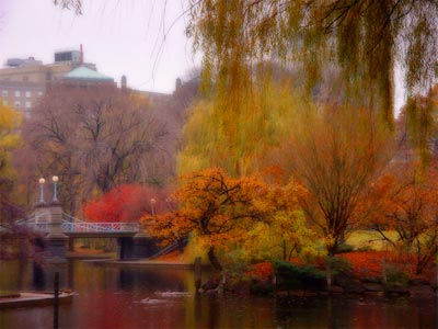 Boston Public Garden